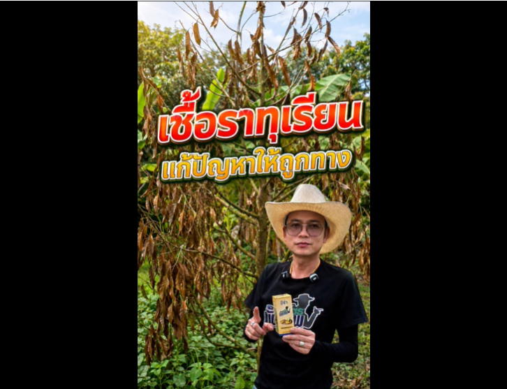 ใครที่มีต้นป่วยๆ ในสวน รีบเลยนะครับ
