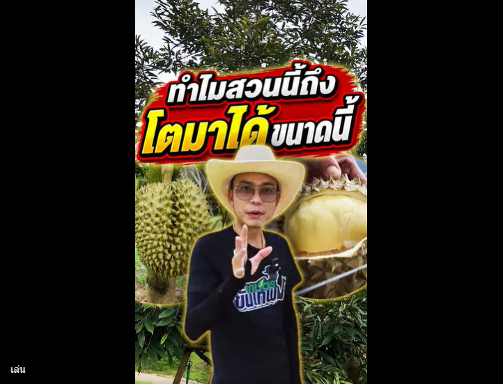 ผลงานใช้ปุ๋ยขั้นเทพทางใบ ทุเรียนได้ผลผลิตดี 4ปีติด
