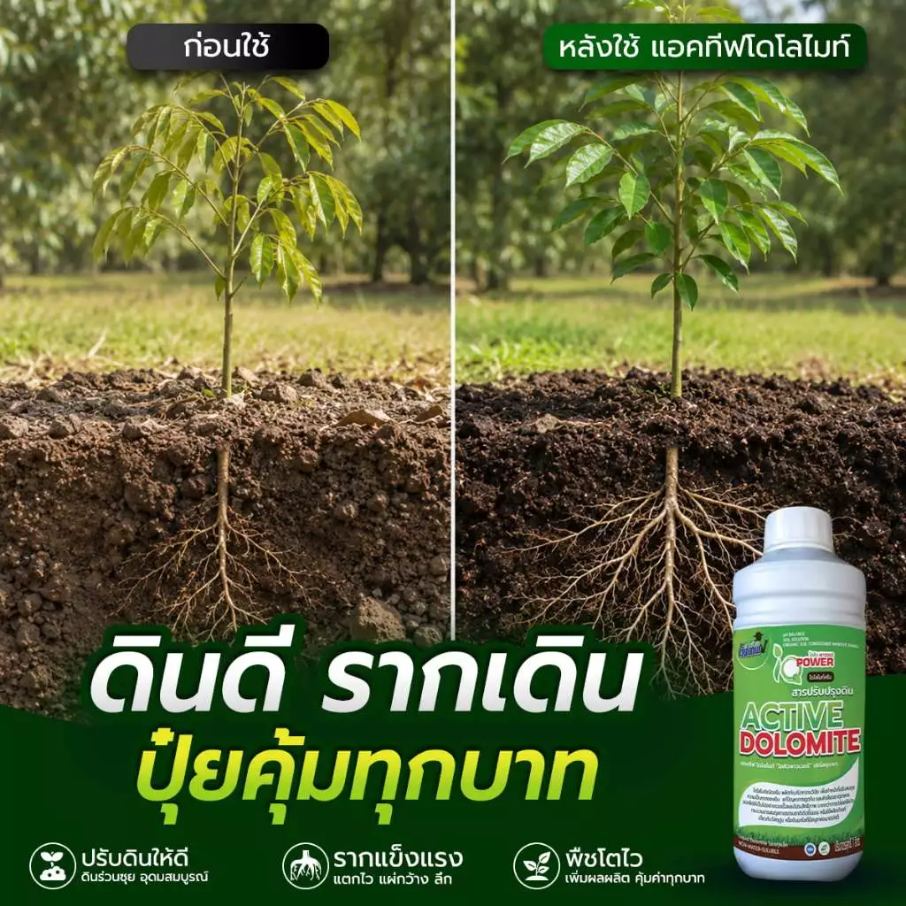 สารปรับปรุงดิน แอคทีฟโดโลไมท์ สูตรเข้มข้น 1L ผสมน้ำ 200L แก้ดินเปรี้ยว ดินเสื่อม ฟื้นฟูรากสารปรับปรุงดิน แอคทีฟโดโลไมท์ สูตรเข้มข้น 1L ผสมน้ำ 200L แก้ดินเปรี้ยว ดินเสื่อม ฟื้นฟูราก