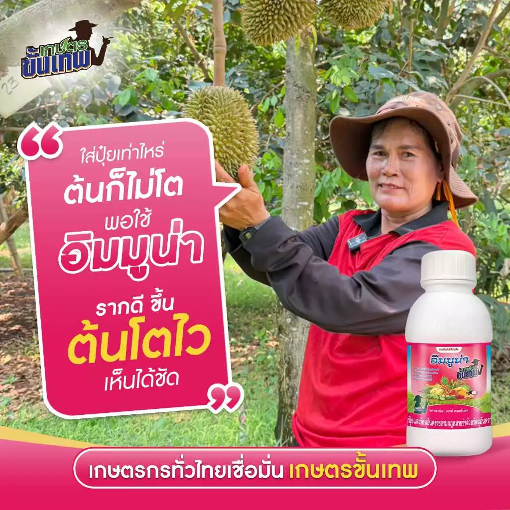 ฮอร์โมนพืช อิมมูน่า สูตรสร้างภูมิคุ้มกัน ฉีดพ่นดินและใบ 250cc ผสมน้ำ 3200L เปิดปากใบ สะสมอาหารเร็ว