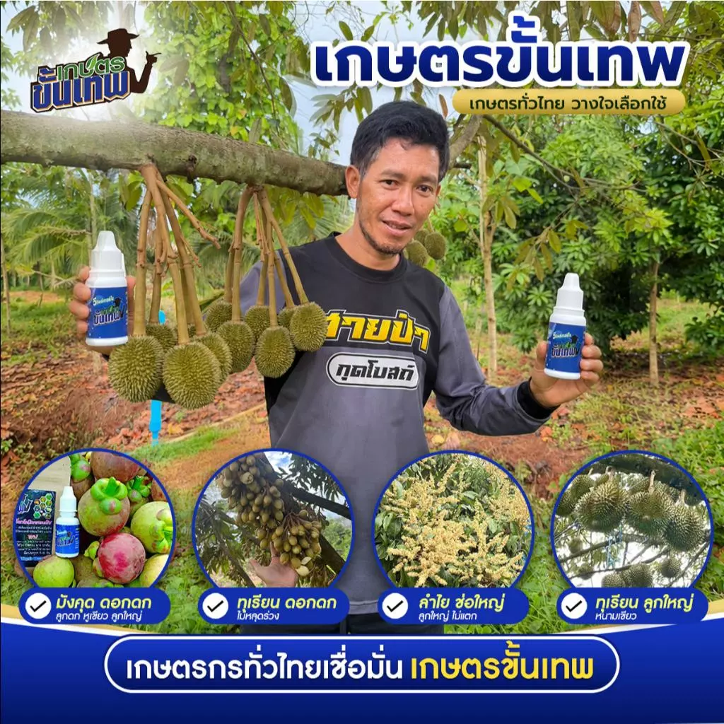 ปุ๋ยน้ำทางใบ วีทิพย์เทอร์โบ สูตรอะมิโนเข้มข้น ฉีดพ่นทางใบ 15cc ผสมน้ำ 200L ใช้แทนปุ๋ยทางดิน ดูดซึมดี