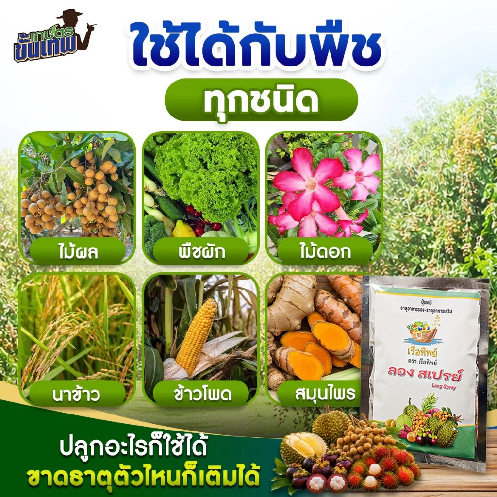 ปุ๋ยธาตุอาหารรอง ลองสเปรย์ สูตรเสริมธาตุอาหาร ฉีดพ่นทางใบ 100gผสมน้ำ 200L ดูดซึมปุ๋ยดี แก้พืชขาดธาตุ