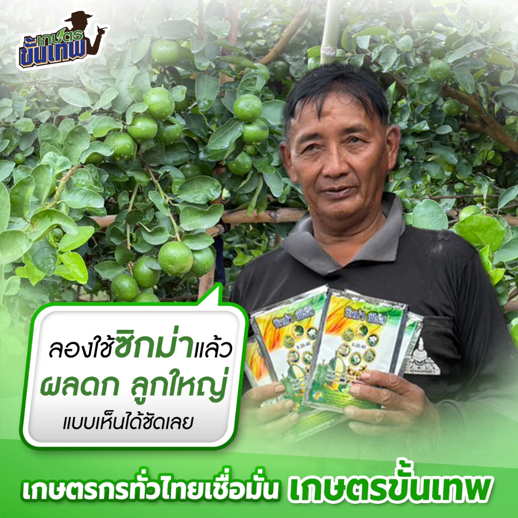 ปุ๋ยสะสมอาหาร ซิกม่าเฟิร์ส สูตร 0-30-40 ฉีดพ่นทางใบ 25g ผสมน้ำ 40L ดึงดอกไว ขยายผลใหญ่ ขั้วดอกเหนียว