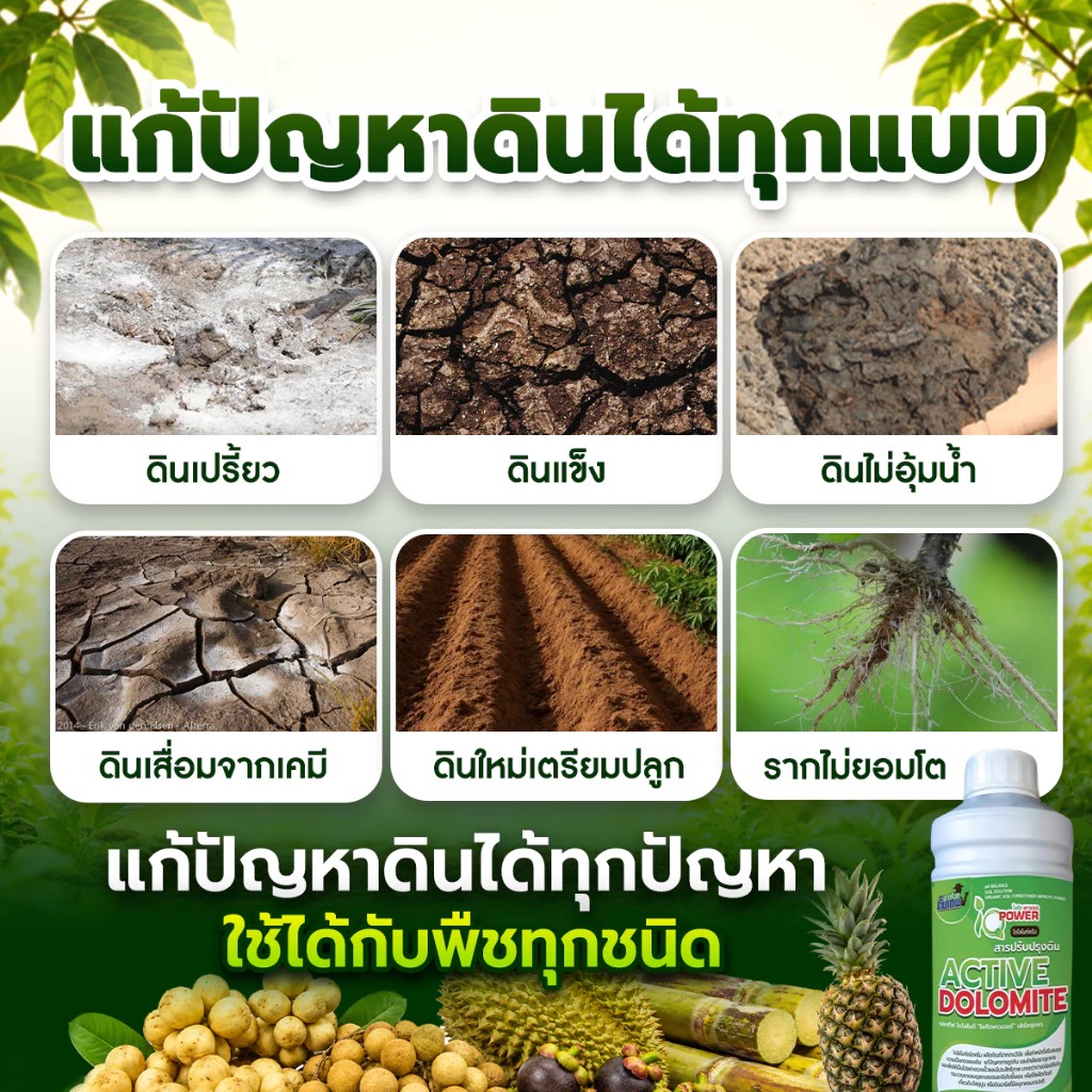 สารปรับปรุงดิน แอคทีฟโดโลไมท์ สูตรเข้มข้น 1L ผสมน้ำ 200L แก้ดินเปรี้ยว ดินเสื่อม ฟื้นฟูรากสารปรับปรุงดิน แอคทีฟโดโลไมท์ สูตรเข้มข้น 1L ผสมน้ำ 200L แก้ดินเปรี้ยว ดินเสื่อม ฟื้นฟูราก