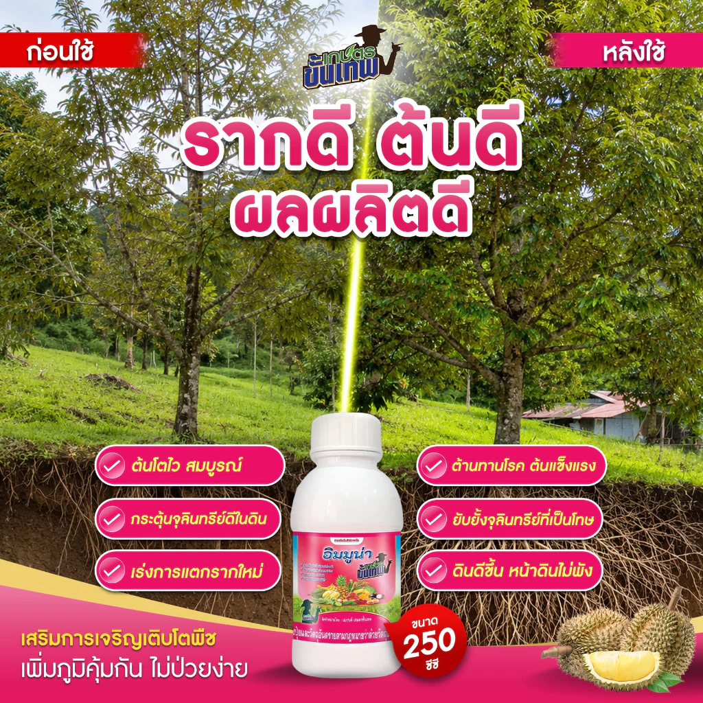 ฮอร์โมนพืช อิมมูน่า สูตรสร้างภูมิคุ้มกัน ฉีดพ่นดินและใบ 250cc ผสมน้ำ 3200L เปิดปากใบ สะสมอาหารเร็ว